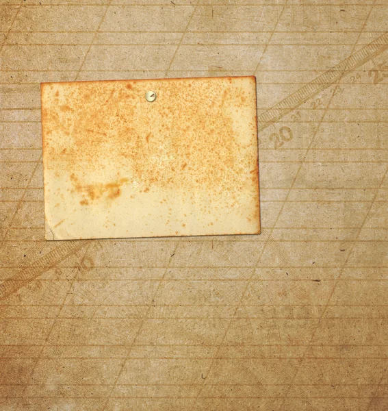 Old grunge frames on the ancient paper background — Stock Photo, Image