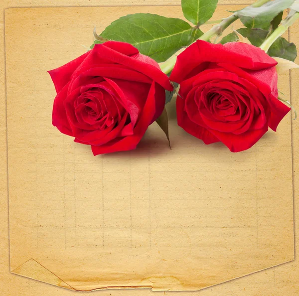 종이 바탕에 아름 다운 붉은 장미와 오래 된 빈티지 카드 — 스톡 사진