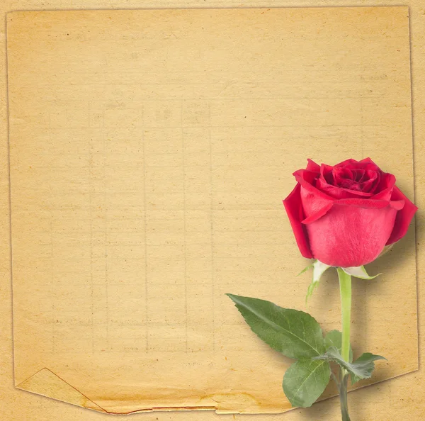 Kağıt arka plan üzerinde güzel bir kırmızı gül ile eski vintage kartı — Stok fotoğraf