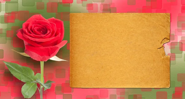 Grunge ancient used paper in scrapbooking style with roses on th — Stock Photo, Image