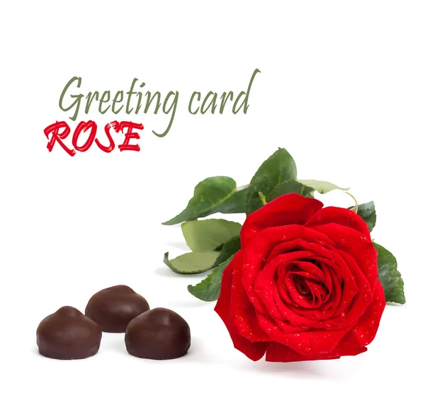 Rosa rossa con foglie verdi e cioccolato isolato su dorso bianco — Foto Stock