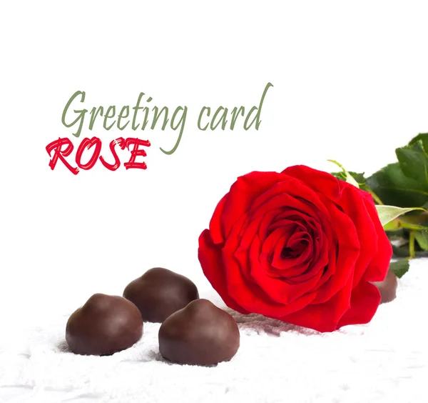 Rosa rossa con foglie verdi e cioccolato, isolata su dorso bianco — Foto Stock