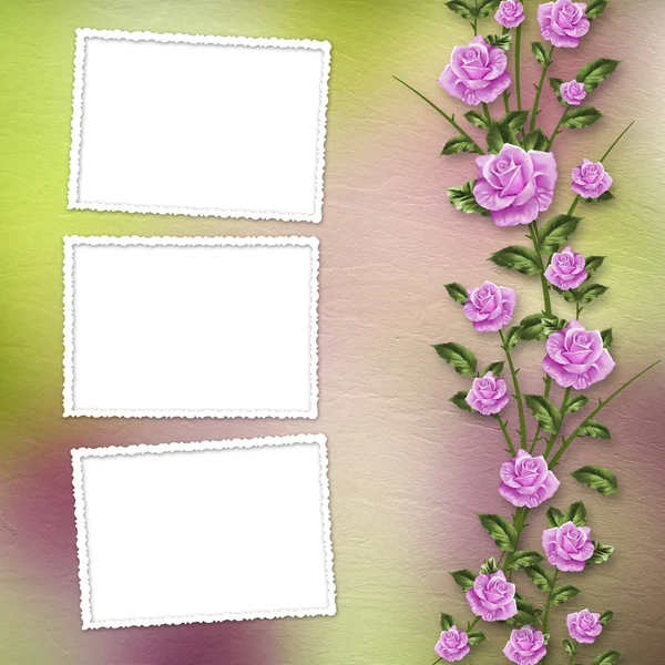 Desenho belos buquês de rosas no fundo pastel — Fotografia de Stock