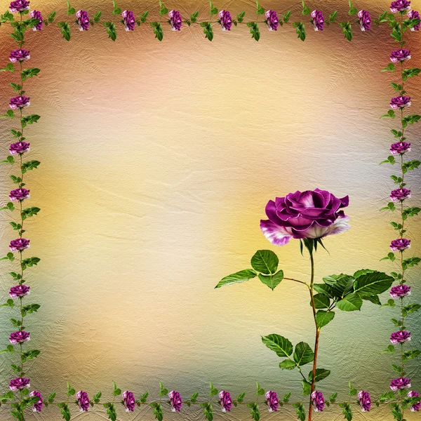 Drawing beautiful bouquets of roses on pastel background — Stock Photo, Image