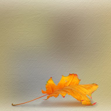 Grunge kağıt scrapbooking tarzı fotoğraf çerçevesi ve au tasarımında