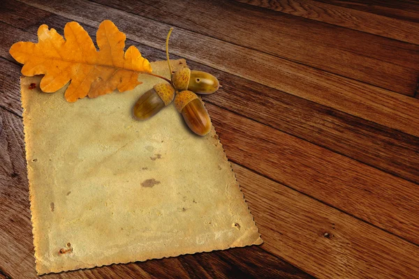 Old grunge paper with autumn oak leaves and acorns on the wooden — Stock Photo, Image