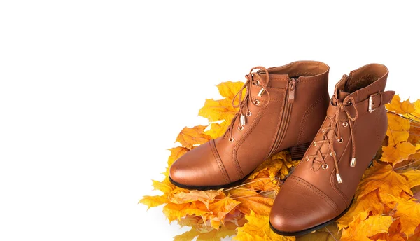 Pair of brown female boots on a background of golden autumn leav — Stock Photo, Image