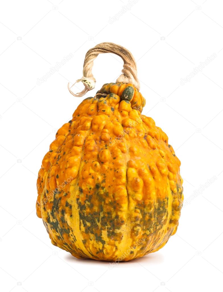 Big orange pumpkin on white  background