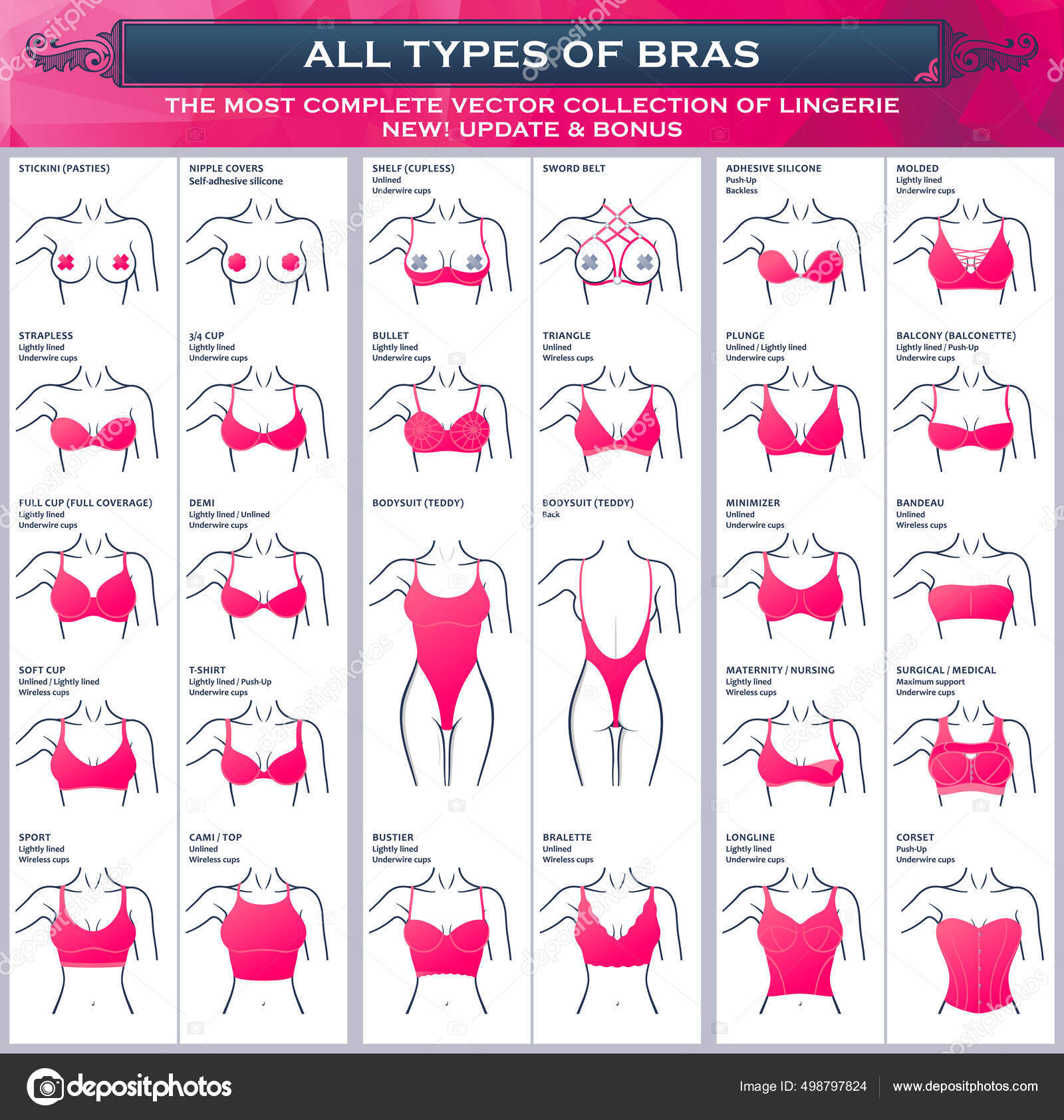 Types of bras. The most complete vector collection of lingerie Stock Vector  by ©Extezy 498797824