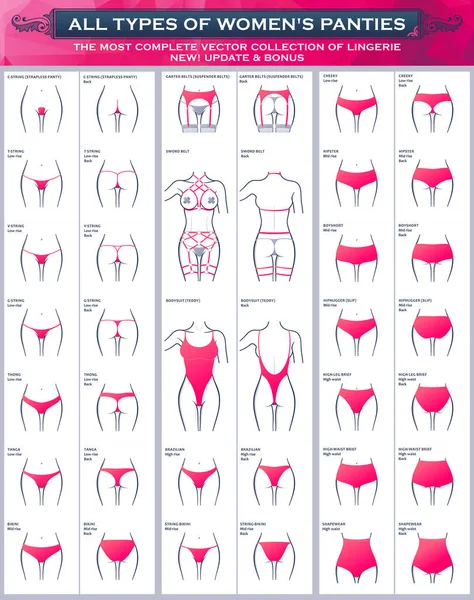 Todos los tipos de bragas de mujer. La colección vectorial más completa de lencería — Vector de stock