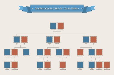 Картина, постер, плакат, фотообои "генеалогическое дерево вашей семьи с безелями
", артикул 52488933