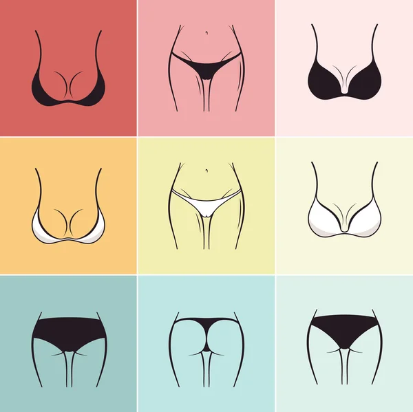 10 types of women's panties. Vector set of underwear. Silhouette Stock  Vector by ©Extezy 71362603