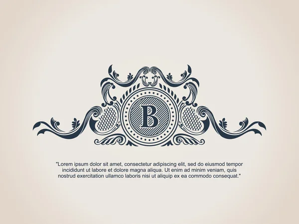 Vintage Decorative Elements Flourishes Calligraphic Ornament B — Stockvector