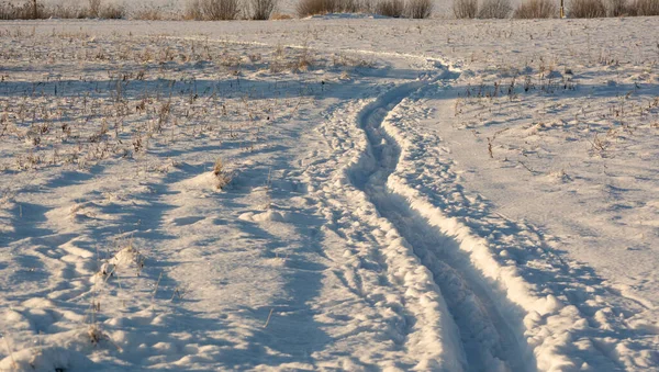 Linie Śladowe Skii Polu — Zdjęcie stockowe