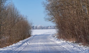 Kışın manzara yolu, donmuş ağaçlar..