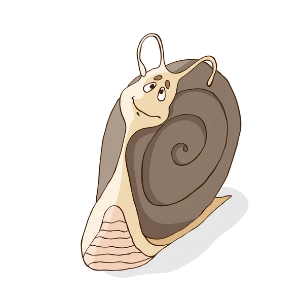 Funny snail, vector illustration — Stock Vector