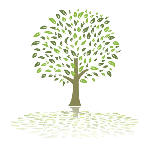 Vector de árbol de verano verde — Vector de stock