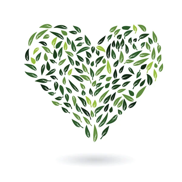 Heart from green leaves vector — Stock Vector