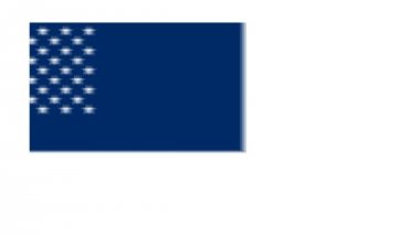 Amerikan bayrağı özgün görünümünü