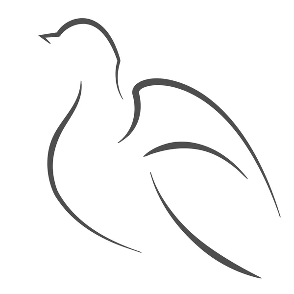 Güvercin anahat — Stok Vektör