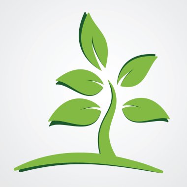 Yeşil bitki doğa kavramı