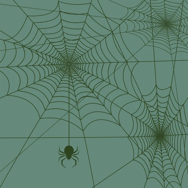 Aranha web vector — Vetor de Stock