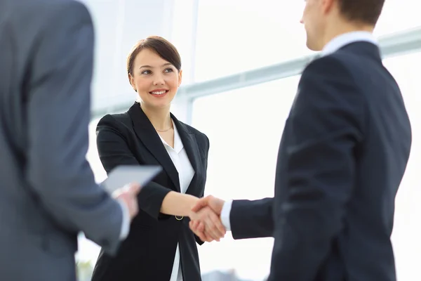 Zwei professionelle Geschäftsleute beim Händeschütteln — Stockfoto