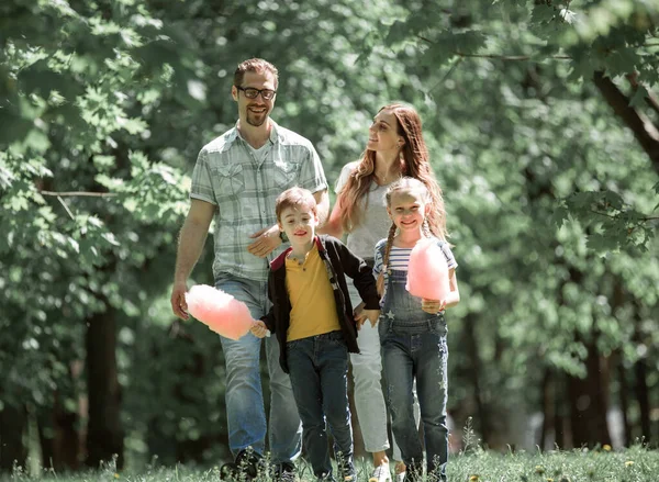 Gelukkige familie op een wandeling op een zomerdag — Stockfoto