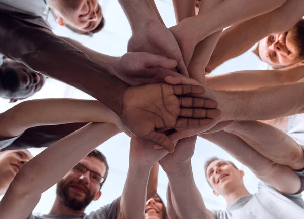 Ansicht von oben. Projektleiter bei einem Treffen mit dem Geschäftsteam. — Stockfoto