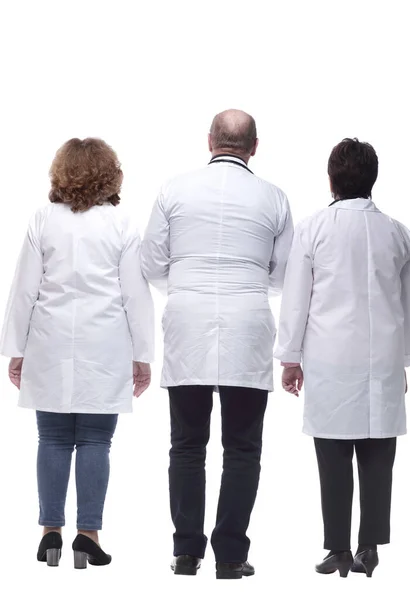 Vista trasera. un grupo de colegas médicos de pie frente a una gran pantalla blanca —  Fotos de Stock