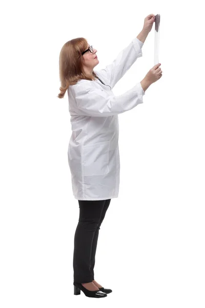 Terapeut tittar noga på röntgen. isolerad på en vit — Stockfoto