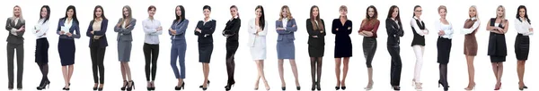 Groep van succesvolle jonge zakenvrouw staan in een rij — Stockfoto