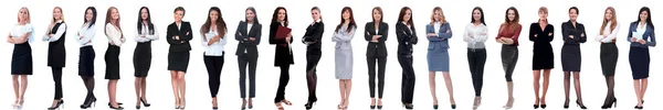 Grupp framgångsrika unga affärskvinna står i rad — Stockfoto