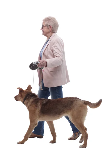 Boční pohled. starší dáma a její pes procházky spolu — Stock fotografie