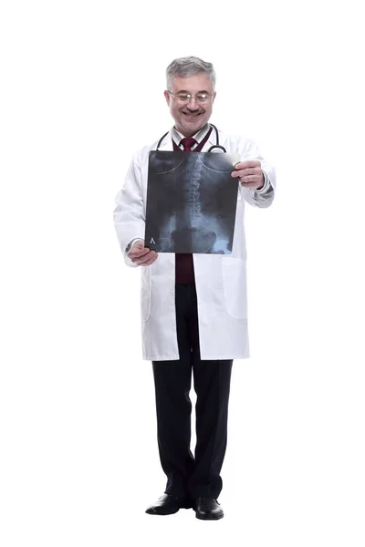 Terapeuta médico mirando la radiografía. aislado sobre un fondo blanco —  Fotos de Stock