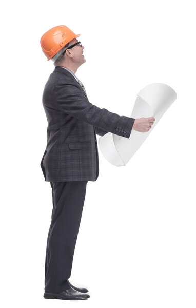 qualified architect reading the new drawing. isolated on a white