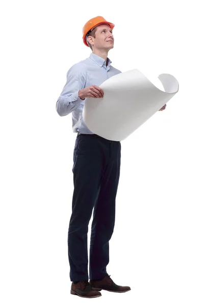 Arquitecto leyendo un nuevo dibujo. aislado en un blanco — Foto de Stock