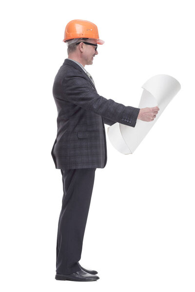 qualified architect reading the new drawing. isolated on a white