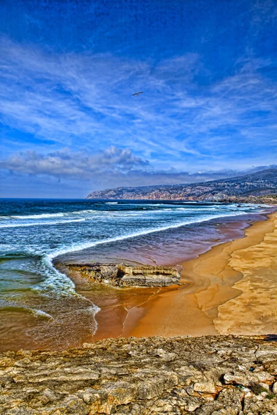 Onda do mar na costa — Fotografia de Stock