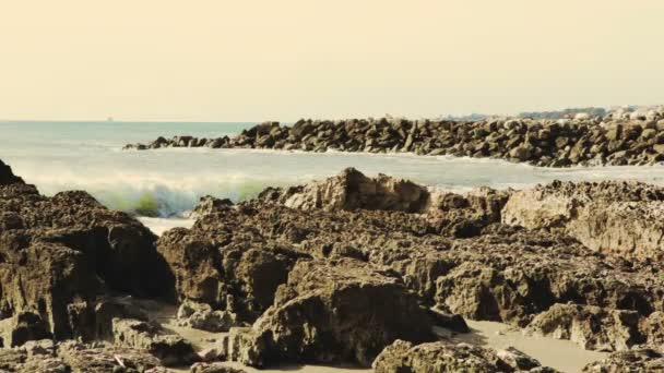 Океан валяется на пляже — стоковое видео
