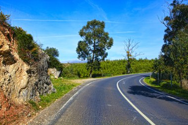 Eğri yol asfalt yolun yeşil görünümünde