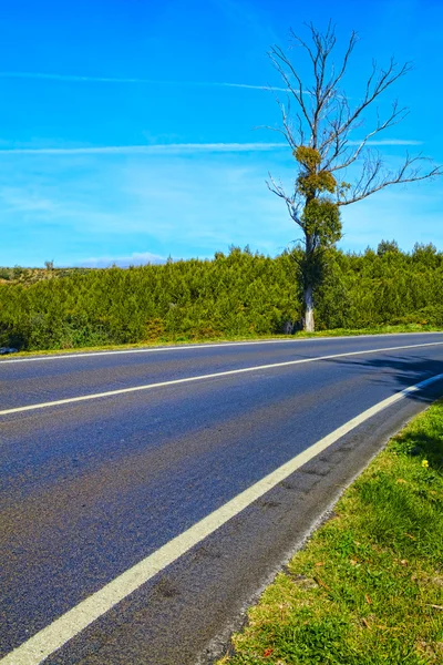 Curve way of asphalt road in the green view — Stock Photo, Image