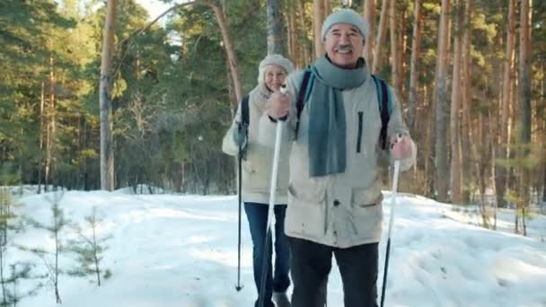 Hombre y mujer mayores con bastones de esquí disfrutando de una caminata nórdica en el parque en el día de invierno — Vídeo de stock