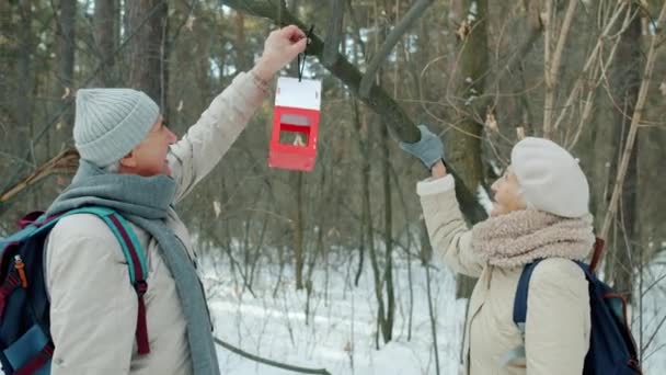 Senior pareja colgando pájaro casa en árbol rama y hablando disfrutando de caminar en invierno parque — Vídeo de stock