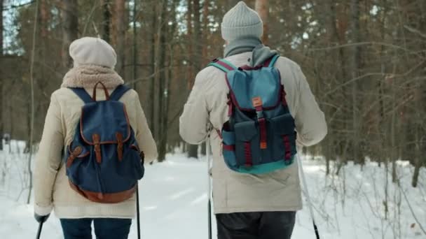Vue arrière du couple de personnes dans le parc d'hiver avec des bâtons de ski profitant de la marche nordique ensemble — Video
