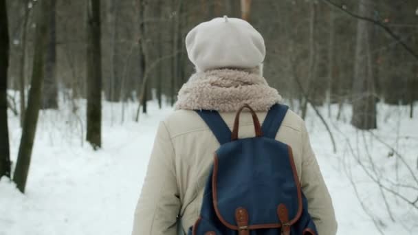 Веселая пожилая женщина в теплой одежде гуляет по парку, любуясь видом зимой. — стоковое видео