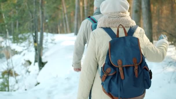 Back view of tourists walking in forest on winter day talking and gesturing enjoying hiking — Stock Video