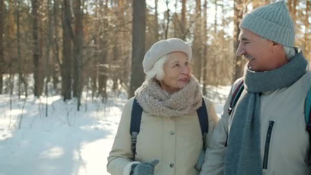 Sunny Winter Day 'de ormanda yürüyen son sınıf aile. Konuşuyor ve gülüyorlar. — Stok video