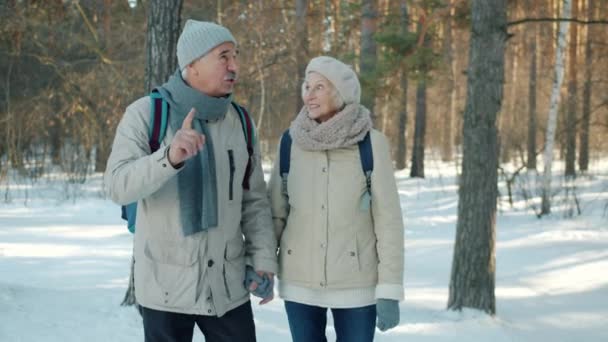 Dolly disparo de pareja de ancianos hombre y señora caminando en el parque en el día de invierno hablando — Vídeo de stock