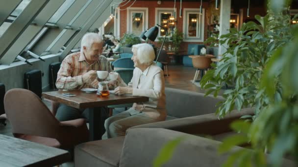 Cámara lenta de la esposa madura y el marido clanging tazas de té disfrutando de bebidas y hablando en la cafetería — Vídeo de stock